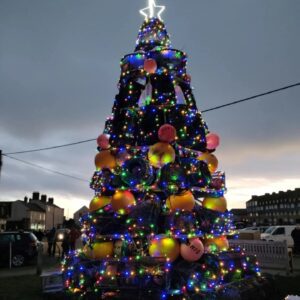 West Bay Christmas Lights